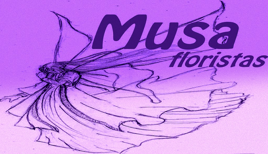 Musa Floristas
