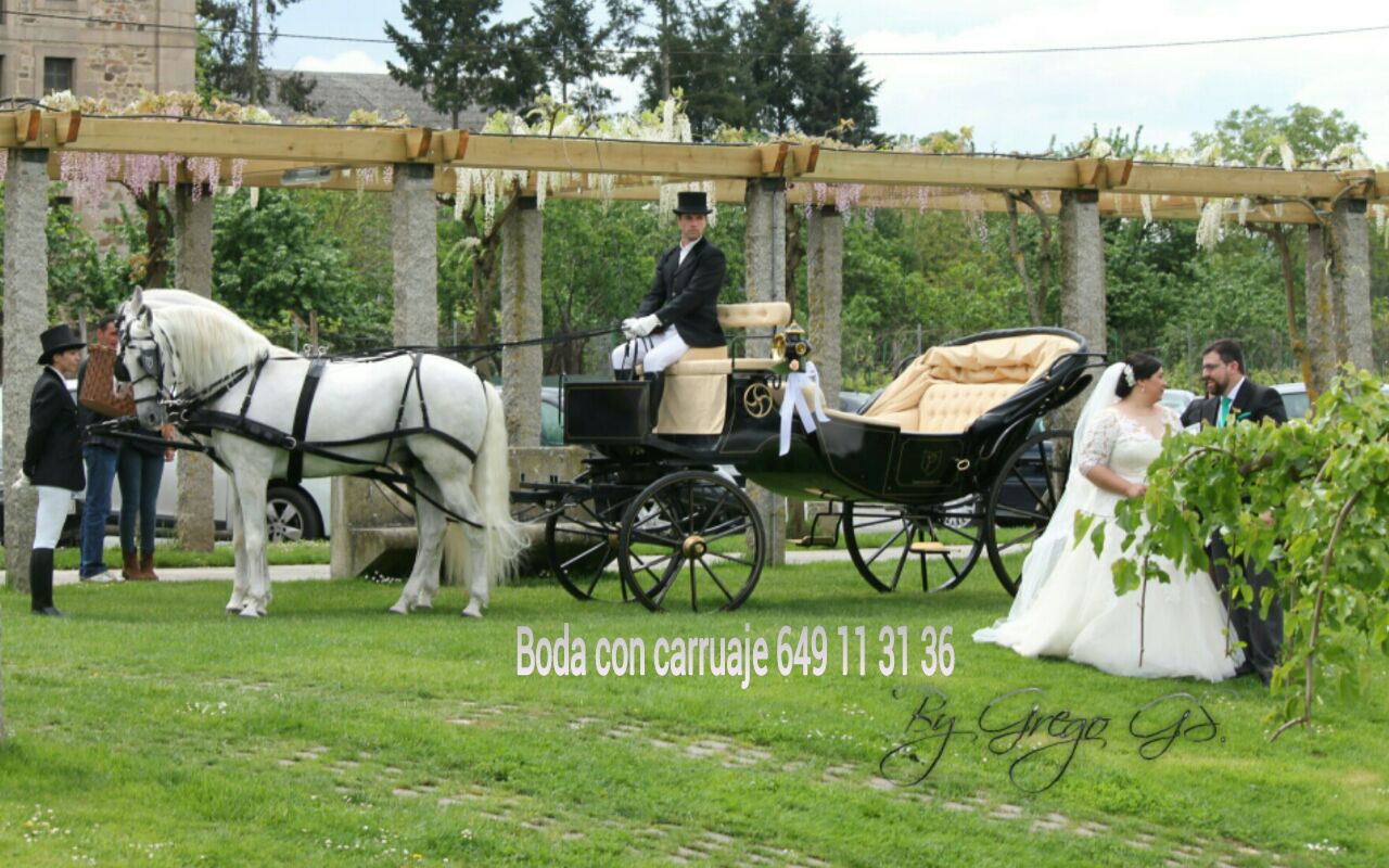 boda con carruaje